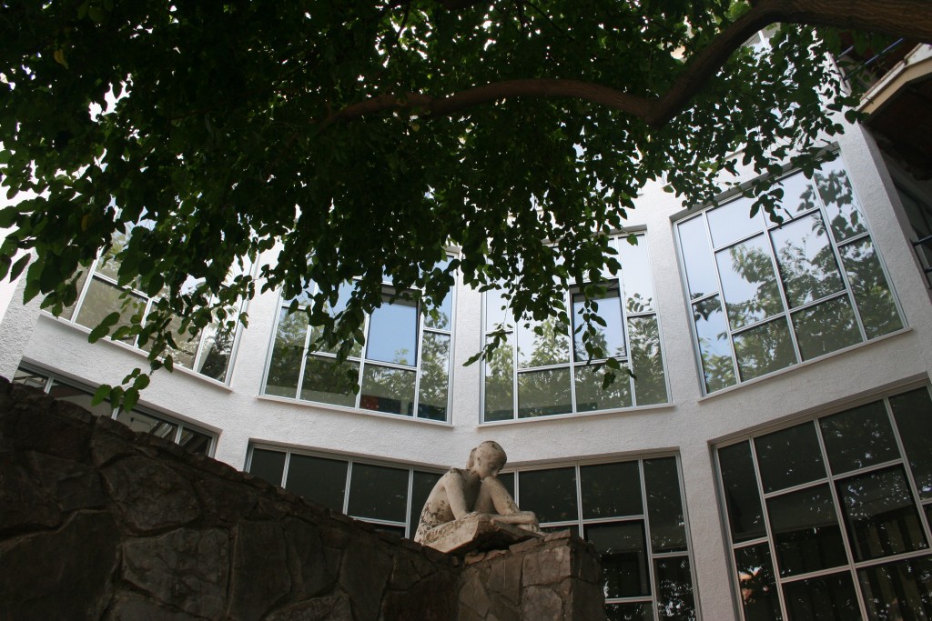 rehabilitacion5